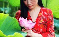 欢乐中国行2013全集